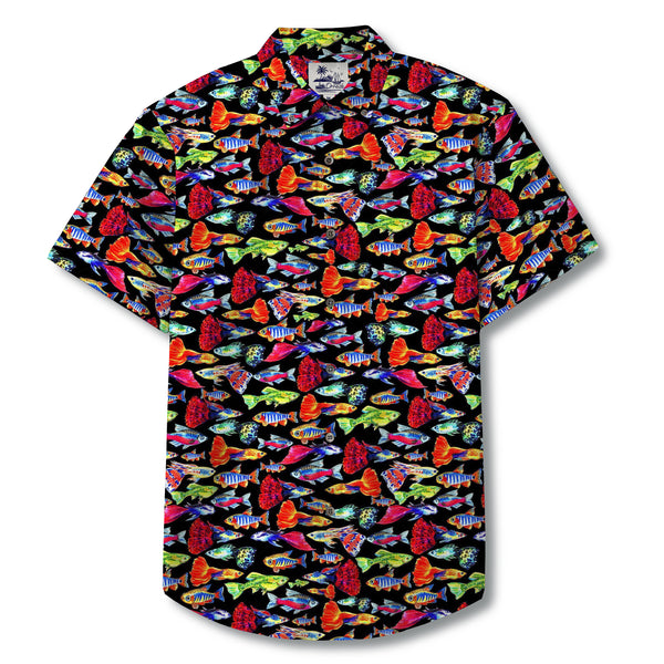Tropical Fishes